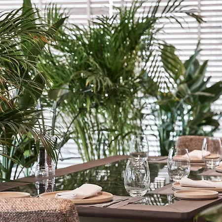 September מלון 5*