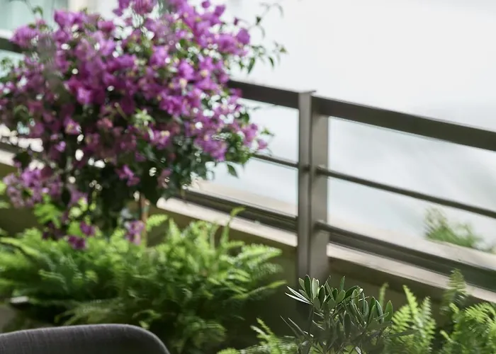 September ホテル 5*